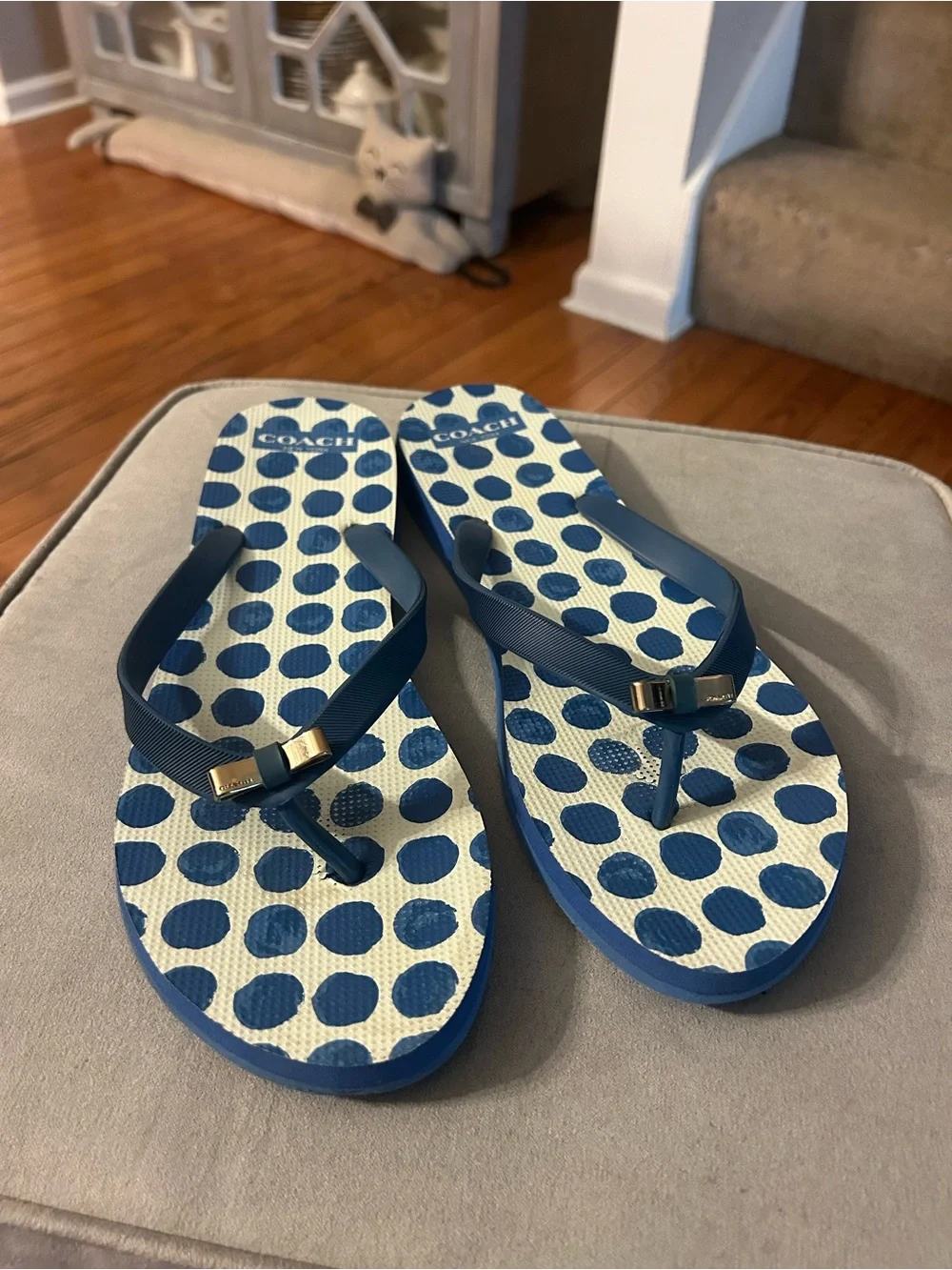 Coach Blue and White Polka Dot Flip Flops with Gold Accents